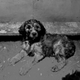 Illustration for article titled Doggositelock